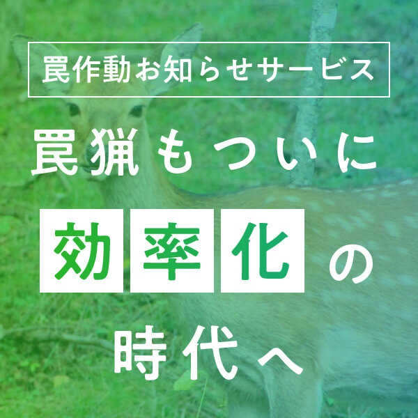 罠作動お知らせ_サムネイル